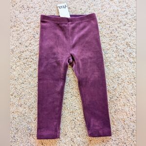 Tea Collection Purple Velour Leggings